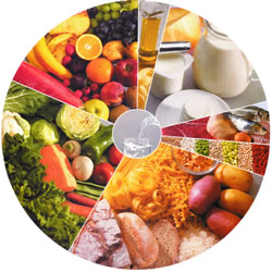 Alimentos: fuente de salud y causa de enfermedad
