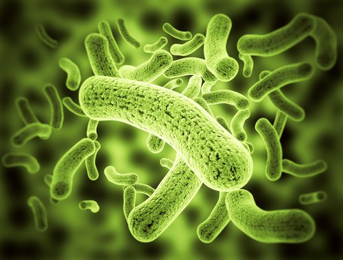 9 síntomas que advierten de la presencia de parásitos en el cuerpo