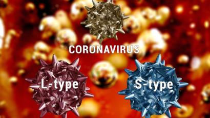 Mutación del coronavirus: formas diferentes en cada país
